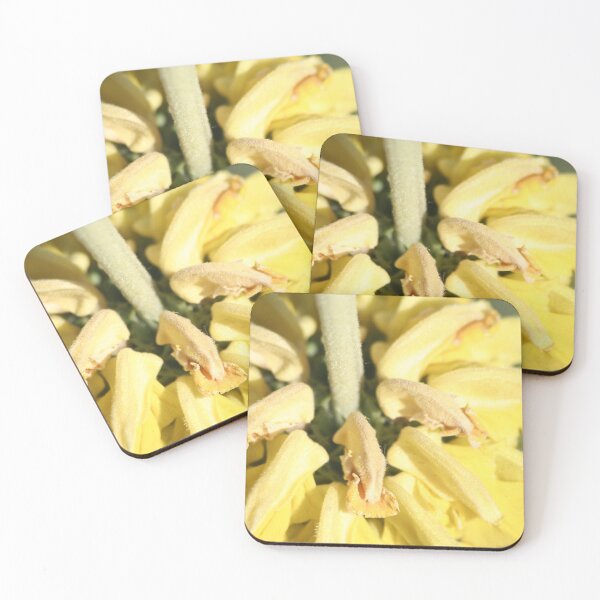 Item preview, The Yellow Bottom designed and sold by 3Spoke.