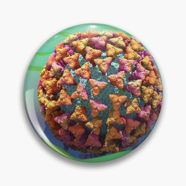 Item preview, Coronavirus Enters Cell (COVID-19) using ACE2 Receptors designed and sold by Russell Kightley.