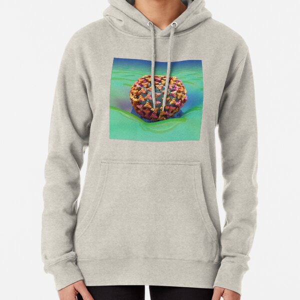 Coronavirus Enters Cell (COVID-19) using ACE2 Receptors Pullover Hoodie