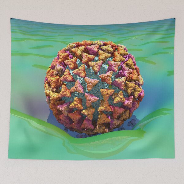 Item preview, Coronavirus Enters Cell (COVID-19) using ACE2 Receptors designed and sold by Russell Kightley.