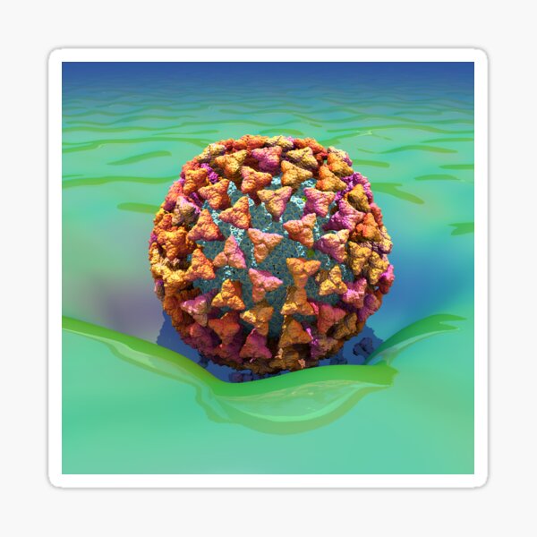 Coronavirus Enters Cell (COVID-19) using ACE2 Receptors Sticker