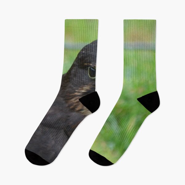 Item preview, All talk -NZ Falcon designed and sold by lizdomett.