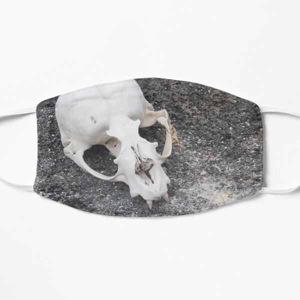 Galapagos Skull Mask