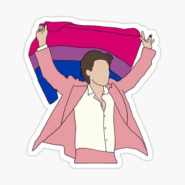harry styles bi flag Sticker