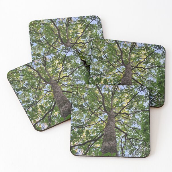Item preview, Oak tree Classy Camo designed and sold by dreamie09.