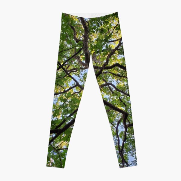 Oak tree Classy Camo Leggings