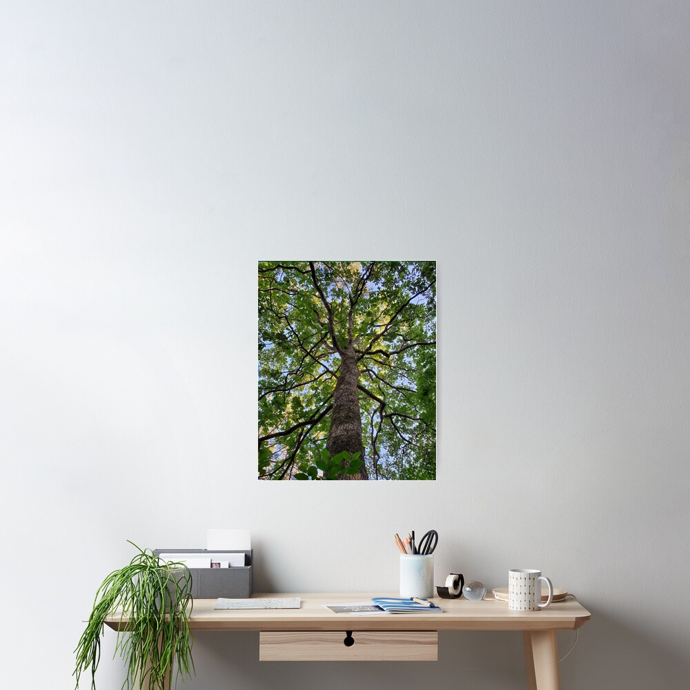 Item preview, Poster designed and sold by dreamie09.
