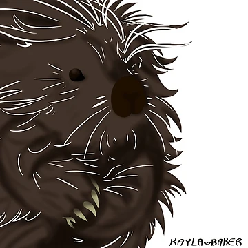 Artwork thumbnail, Porcc by Mickey Baker
