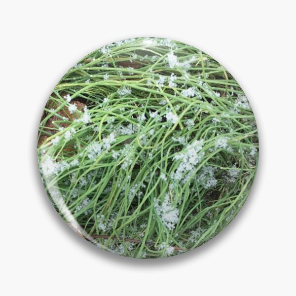 Aperçu de l'œuvre Poussière de neige sur vert créée et vendue par 3Spoke.