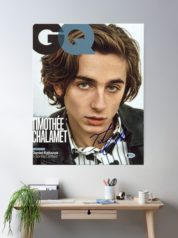 Timothée Chalamet Cover