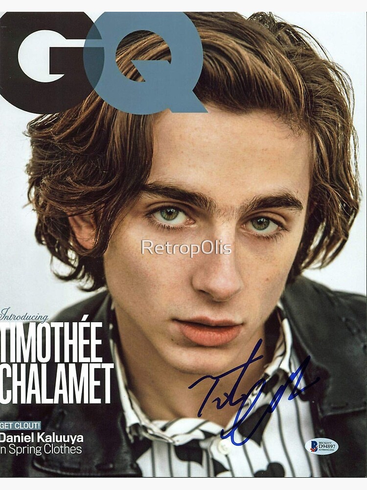 Timothée Chalamet Cover