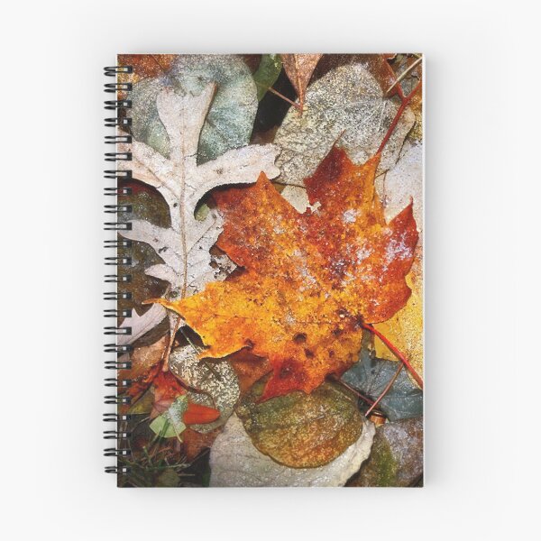 Item preview, November Palette designed and sold by Claude Johnson.