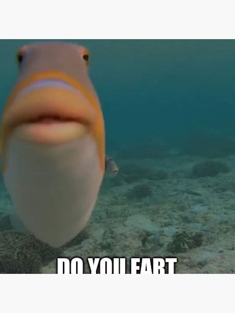 "do you fart fish" Coasters (Set of 4) for Sale by axdiotune Redbubble