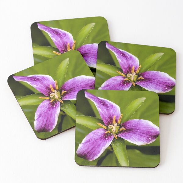 Item preview, Wildflower #4 designed and sold by JRollinsGallery.