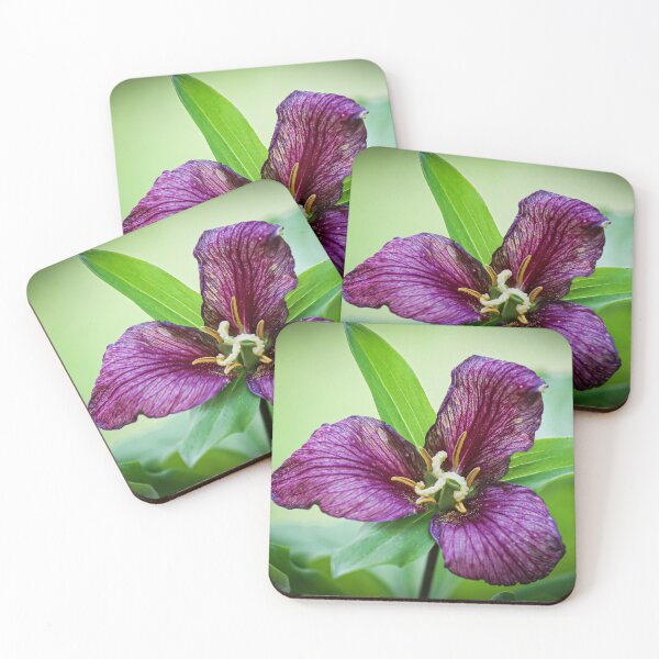Item preview, Wildflower #5 designed and sold by JRollinsGallery.