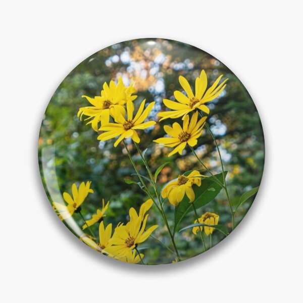 Item preview, African Daisies In The Spring designed and sold by photos-thoughts.