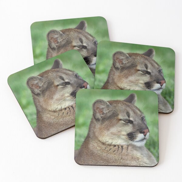Item preview, Mountain Lion Portrait designed and sold by Karen Peron.
