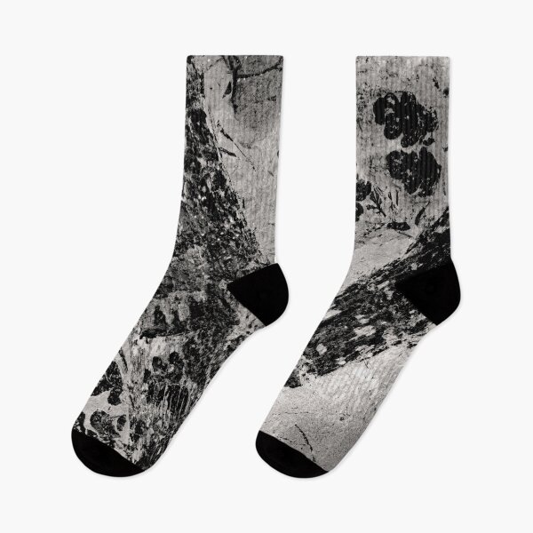 Item preview, © Plant Fossils designed and sold by GeoPipics.