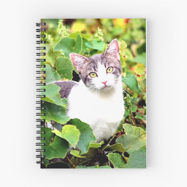 Artikelvorschau, KITTY entworfen und verkauft von BOLLA67.