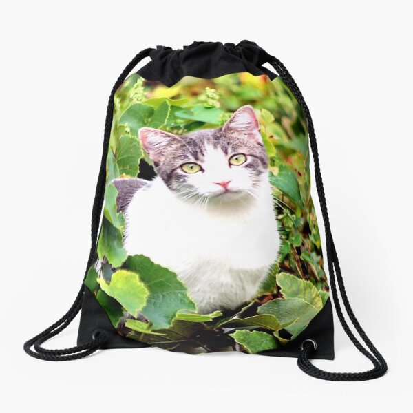 KITTY Drawstring Bag