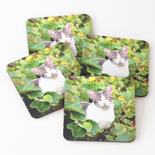 Item preview, KITTY designed and sold by BOLLA67.