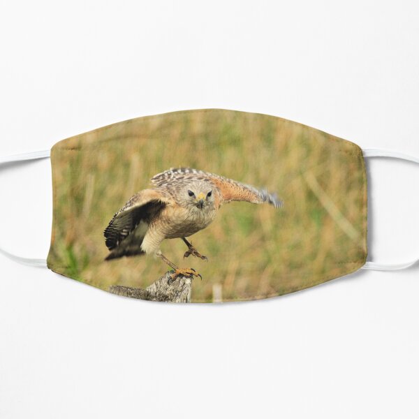 Red Shoulder Hawk Taking Flight Mask