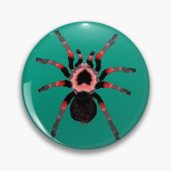 Item preview, Red Knee Tarantula designed and sold by TinkerandBone.