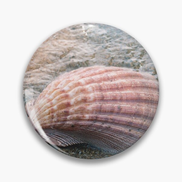 Item preview, Seashell Photography, Fine Art Photography, Ocean, Beach, Conch, Macro, Coastal Wall Decor, designed and sold by aprilbernphoto.