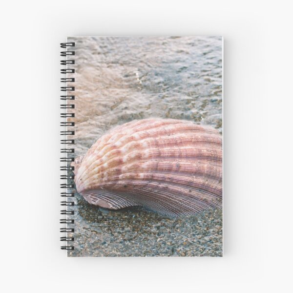Photographie de coquillage Cahier à spirale