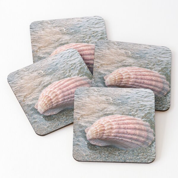 Item preview, Seashell Photography, Fine Art Photography, Ocean, Beach, Conch, Macro, Coastal Wall Decor, designed and sold by aprilbernphoto.