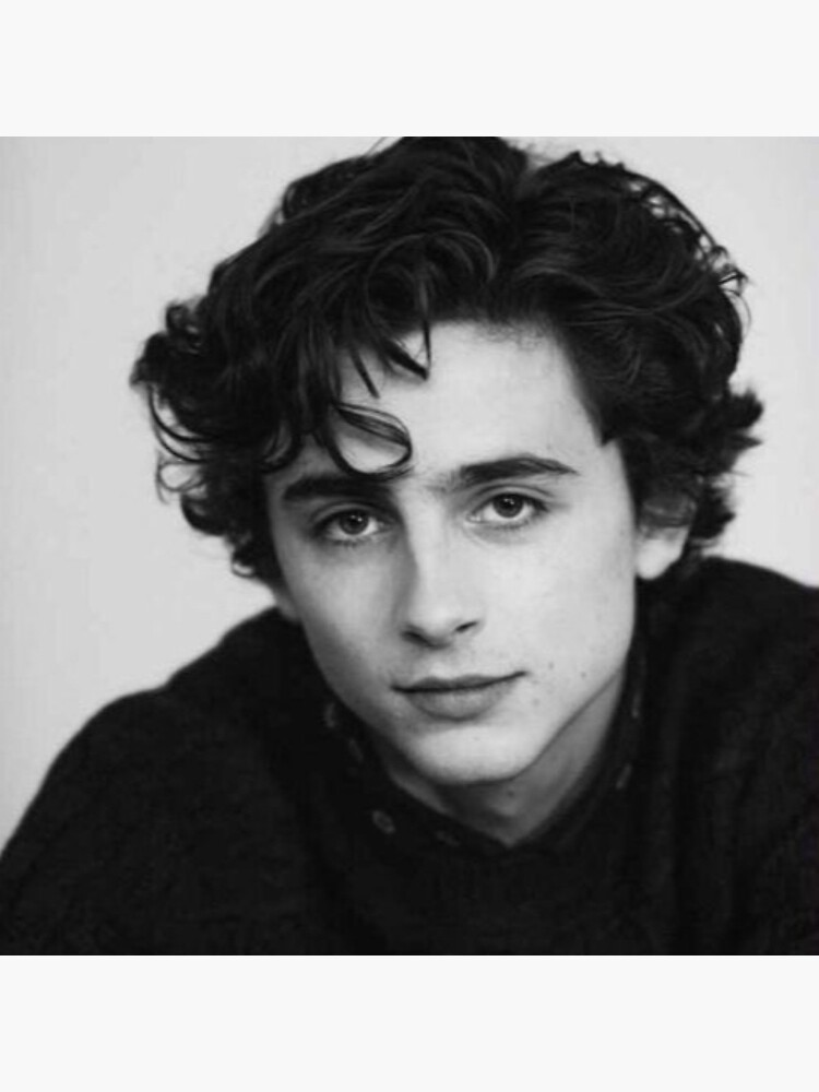 Timothee Chalamet Photoshoot | Art Board Print