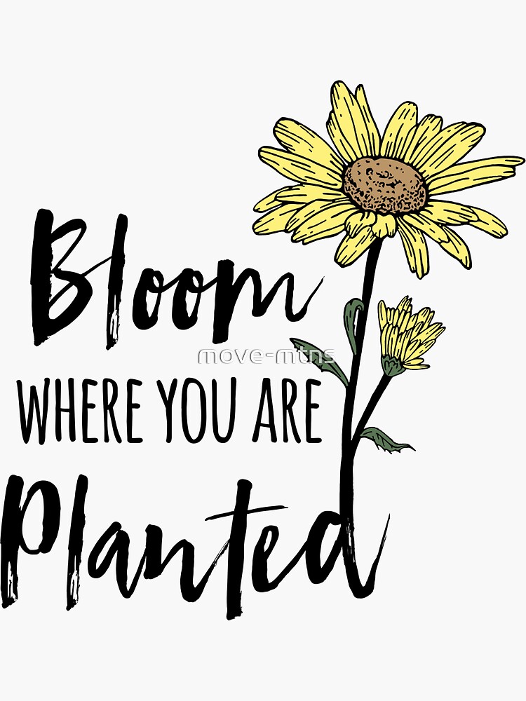 Bloom Where You Are Planted Sticker