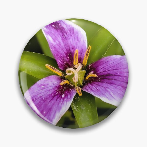 Item preview, Wildflower #4 designed and sold by JRollinsGallery.