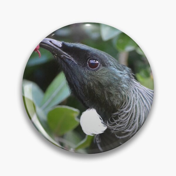 Item preview, Tui feeding on a flower designed and sold by lizdomett.