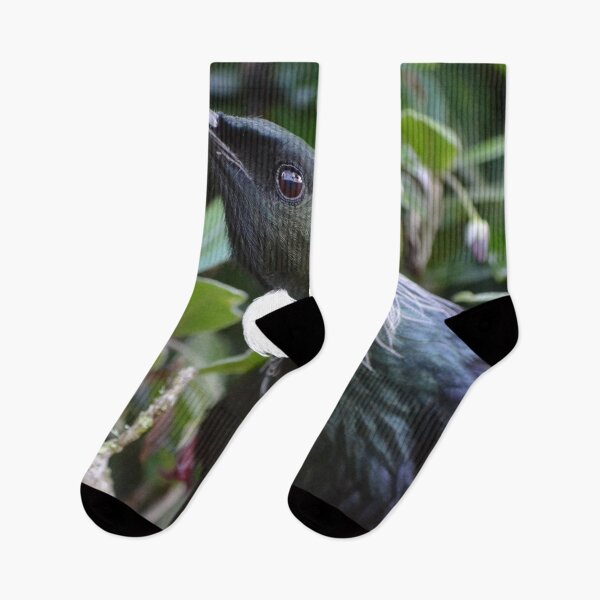 Item preview, Tui feeding on a flower designed and sold by lizdomett.