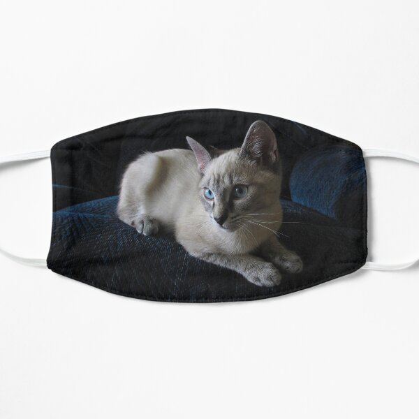 Siamese Cat with blue eyes on a blue background Mask