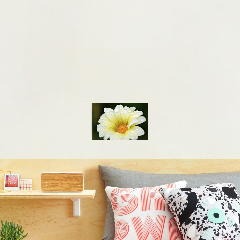 Item preview, Photographic Print designed and sold by TheaShutterbug.