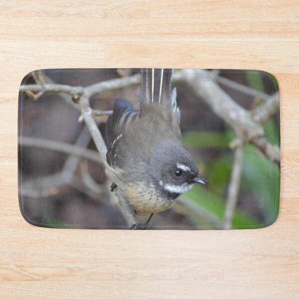 Item preview, Fantail up close designed and sold by lizdomett.