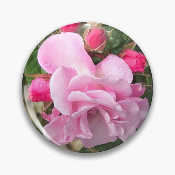 Item preview, Pink Roses After Rain designed and sold by Sandra Gray.