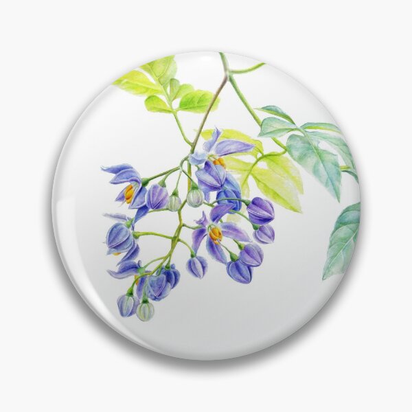 Item preview, Potato Creeper Solanaceae purple flower botanical art  designed and sold by Sarah Trett.