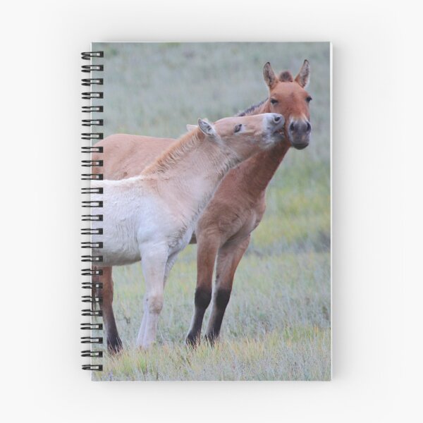 Item preview,   Przewalski's Horses, Mongolia designed and sold by Carole-Anne.