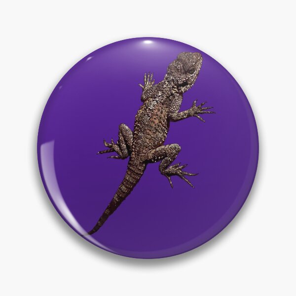 Item preview, Agama Lizard - Cyprus - Purple Background by Amanda M Lucas designed and sold by Amanda Lucas.