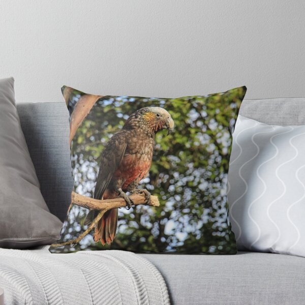 Item preview, Nueva Zelanda Kaka designed and sold by EJCDesign.