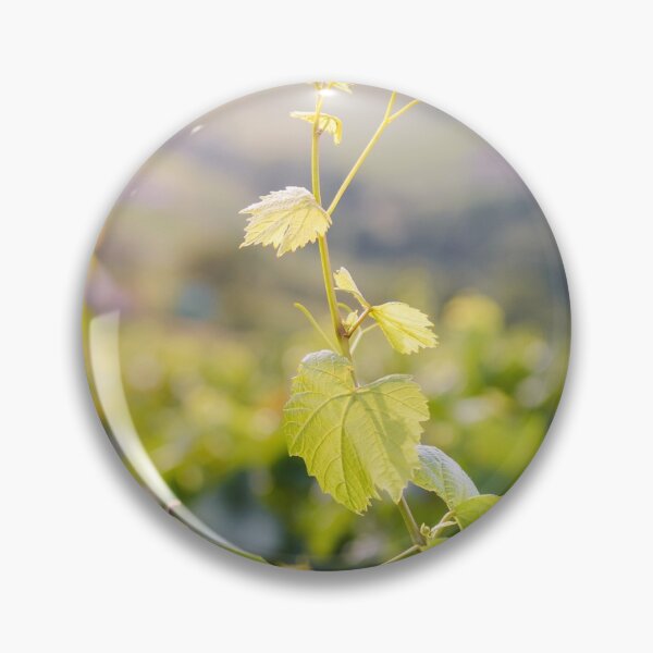 Item preview, Vine leaves of gamay with first lights of the day designed and sold by Gaël FONTAINE.