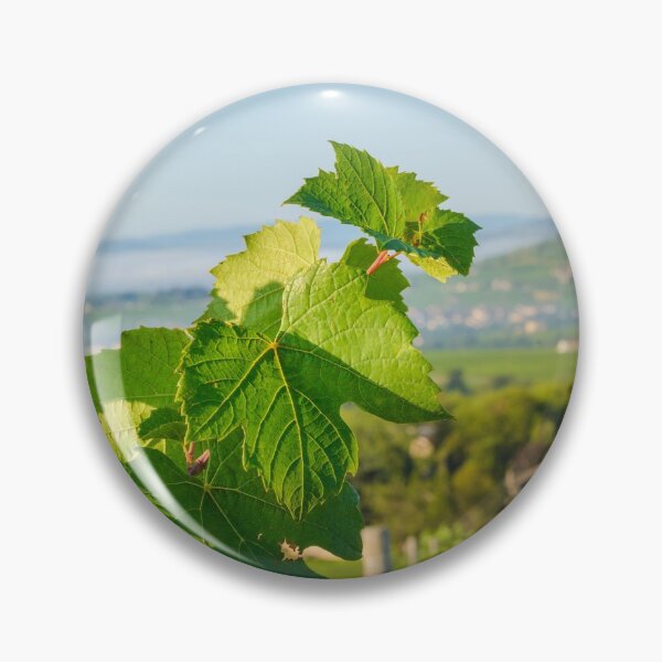 Item preview, Vine leaves of gamay with first lights of the day designed and sold by Gaël FONTAINE.