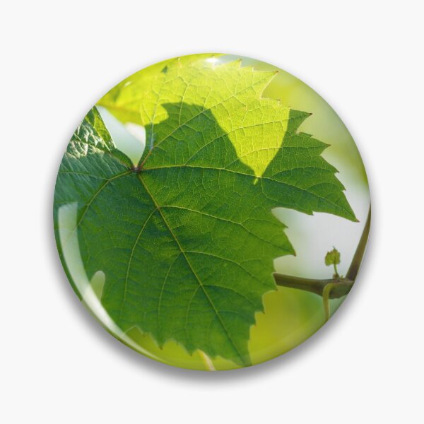 Item preview, Vine leaves of gamay with first lights of the day designed and sold by Gaël FONTAINE.