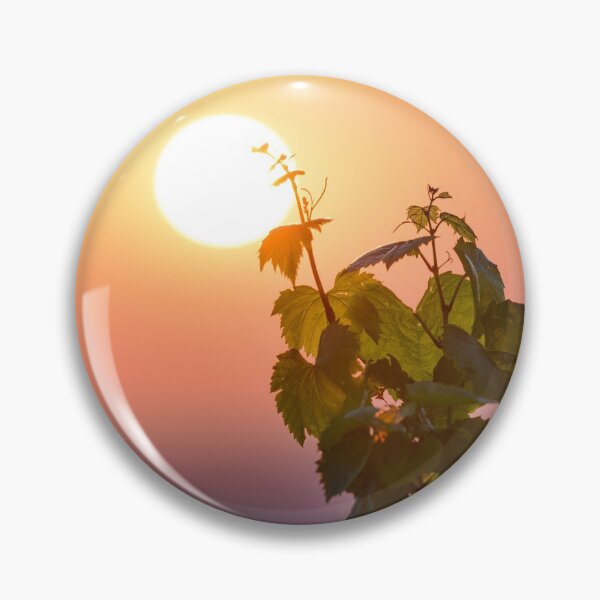 Item preview, Vine leaves of gamay with first lights of the day designed and sold by Gaël FONTAINE.