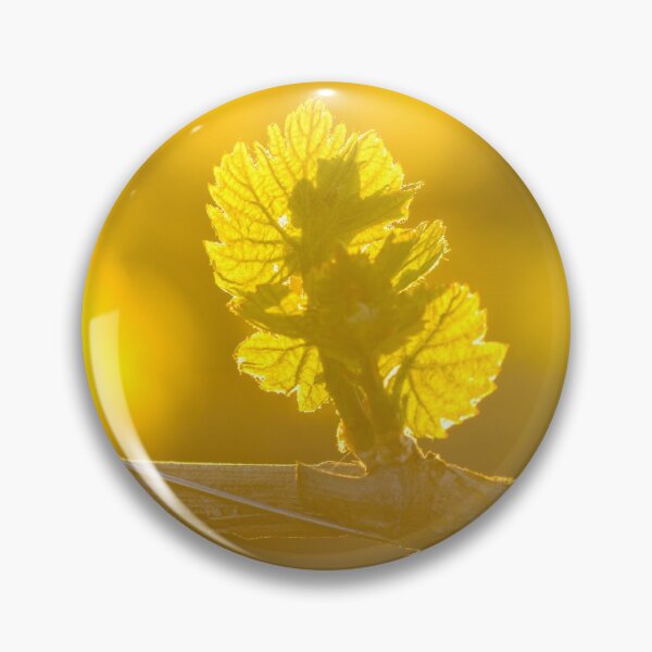 Item preview, Vine leaves of gamay with first lights of the day designed and sold by Gaël FONTAINE.