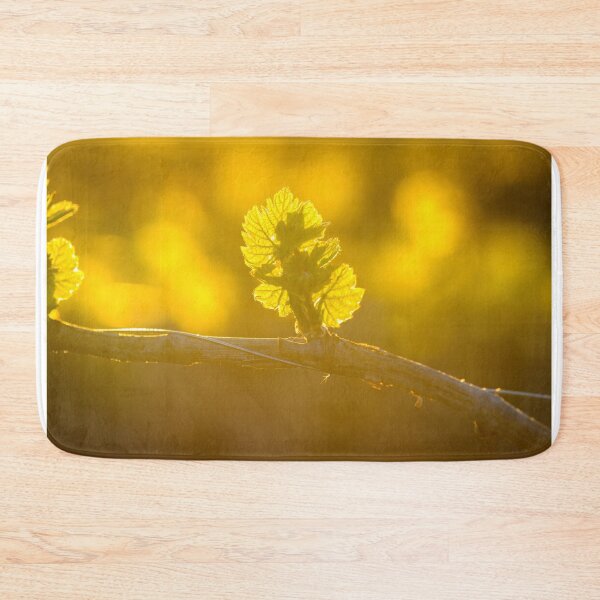 Item preview, Vine leaves of gamay with first lights of the day designed and sold by Gaël FONTAINE.