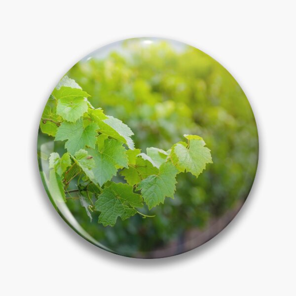 Item preview, Vine leaves of gamay with first lights of the day designed and sold by Gaël FONTAINE.